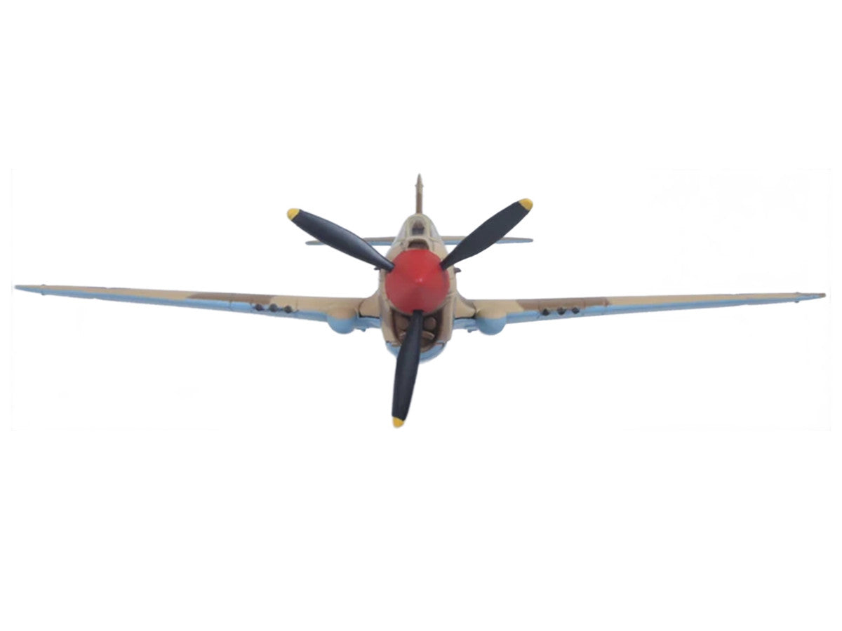 Curtiss Warhawk P-40E Fighter Aircraft "Miss Memphis 85th Fighter Squadron 79th Fighter Group North Africa" (1943) United States Army Air Forces "Oxford Aviation" Series 1/72 Diecast Model Airplane by Oxford Diecast-1